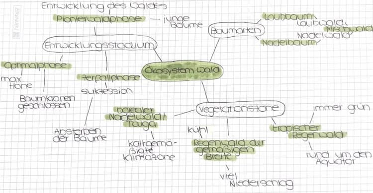 Know ökosystem wald - mindmap  thumbnail