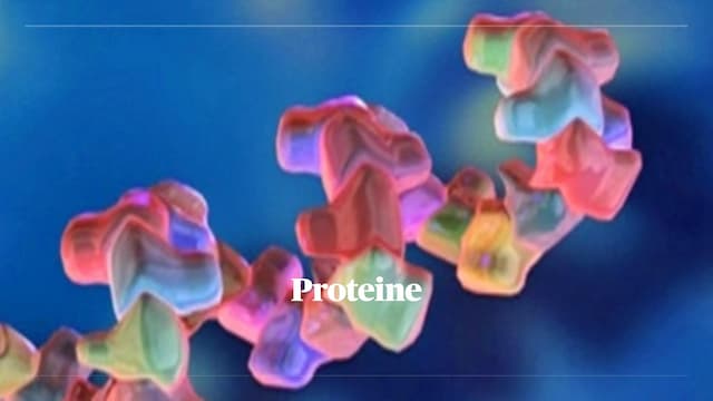Know Wiederholung Proteine  thumbnail