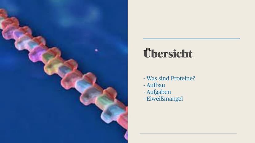 Proteine Übersicht
- Was sind Proteine?
- Aufbau
- Aufgaben
- Eiweißmangel Was sind Proteine? Was sind Proteine?
●
Synonym = Eiweiße
• Makro