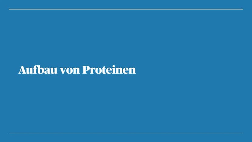 Proteine Übersicht
- Was sind Proteine?
- Aufbau
- Aufgaben
- Eiweißmangel Was sind Proteine? Was sind Proteine?
●
Synonym = Eiweiße
• Makro