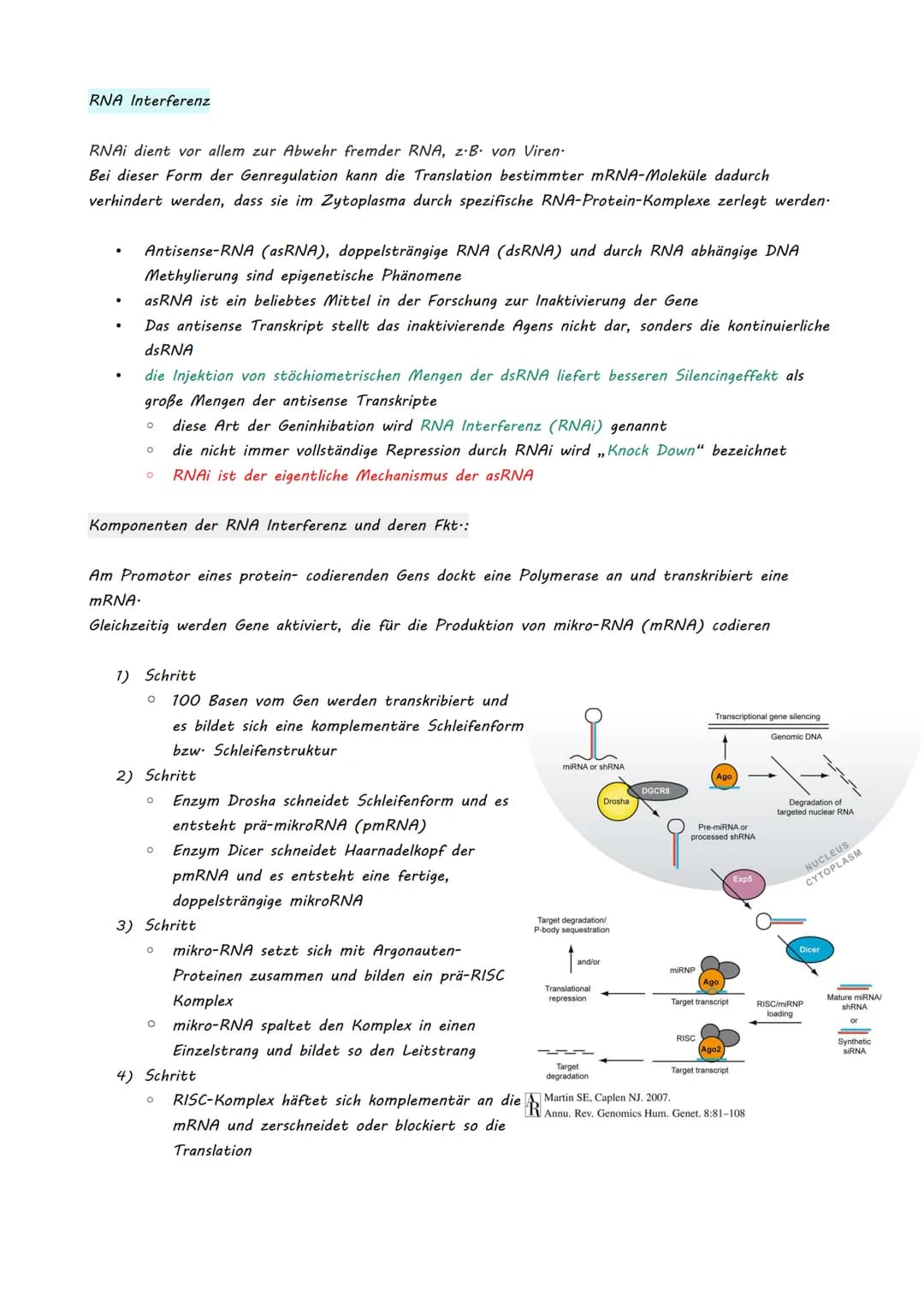 Bio LK Klausur Nr.2
●
●
Eukaryotische Genregulation (Mutationsarten)
Epigenetik
Zellzyklus + Krebs
Humangenetik
o Meiose
O Rekombination
O S