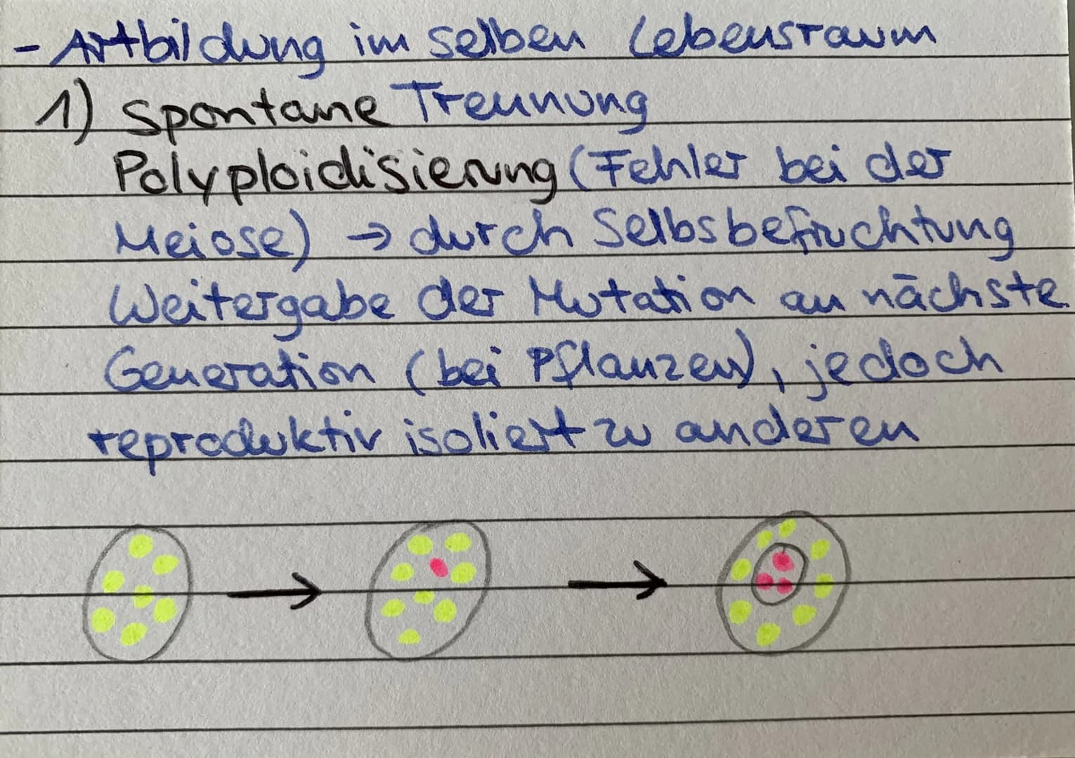 Sympatrische
Artbildung Adaptive
Radiation parapatrische
Atbildung Allopatrische
Artbildung Isolation -Genfluss innerhalb einer Population w