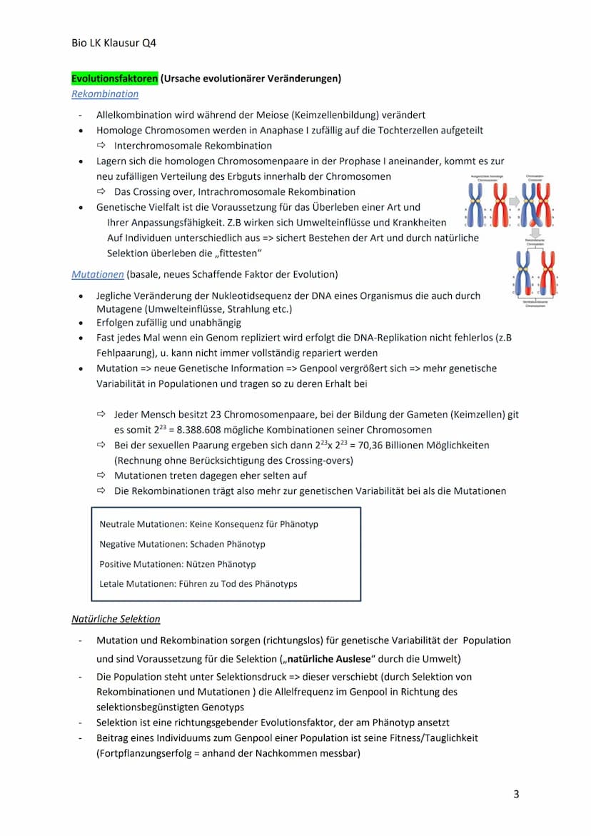 Bio LK Klausur Q4
Begriff
Glossar
Polymorphismus
Art
Allel
Genpool
Variabilität
ökologische Nische
Population
Evolution
Evolutionsfaktor
Gen