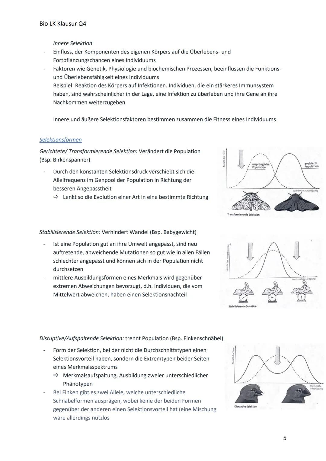 Bio LK Klausur Q4
Begriff
Glossar
Polymorphismus
Art
Allel
Genpool
Variabilität
ökologische Nische
Population
Evolution
Evolutionsfaktor
Gen