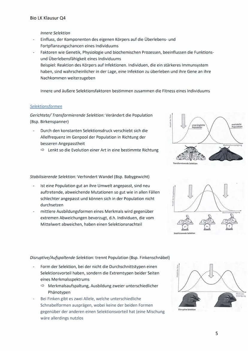 Bio LK Klausur Q4
Begriff
Glossar
Polymorphismus
Art
Allel
Genpool
Variabilität
ökologische Nische
Population
Evolution
Evolutionsfaktor
Gen