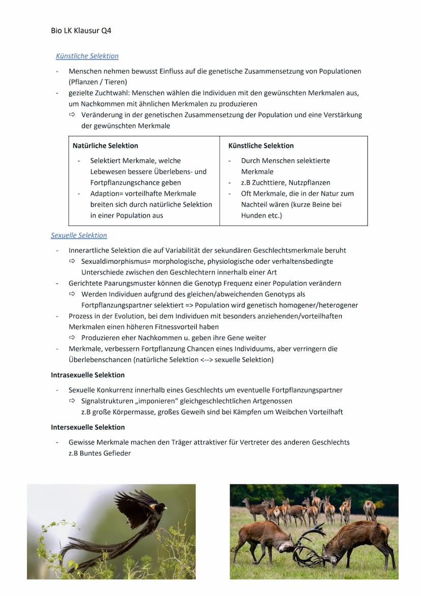 Bio LK Klausur Q4
Begriff
Glossar
Polymorphismus
Art
Allel
Genpool
Variabilität
ökologische Nische
Population
Evolution
Evolutionsfaktor
Gen