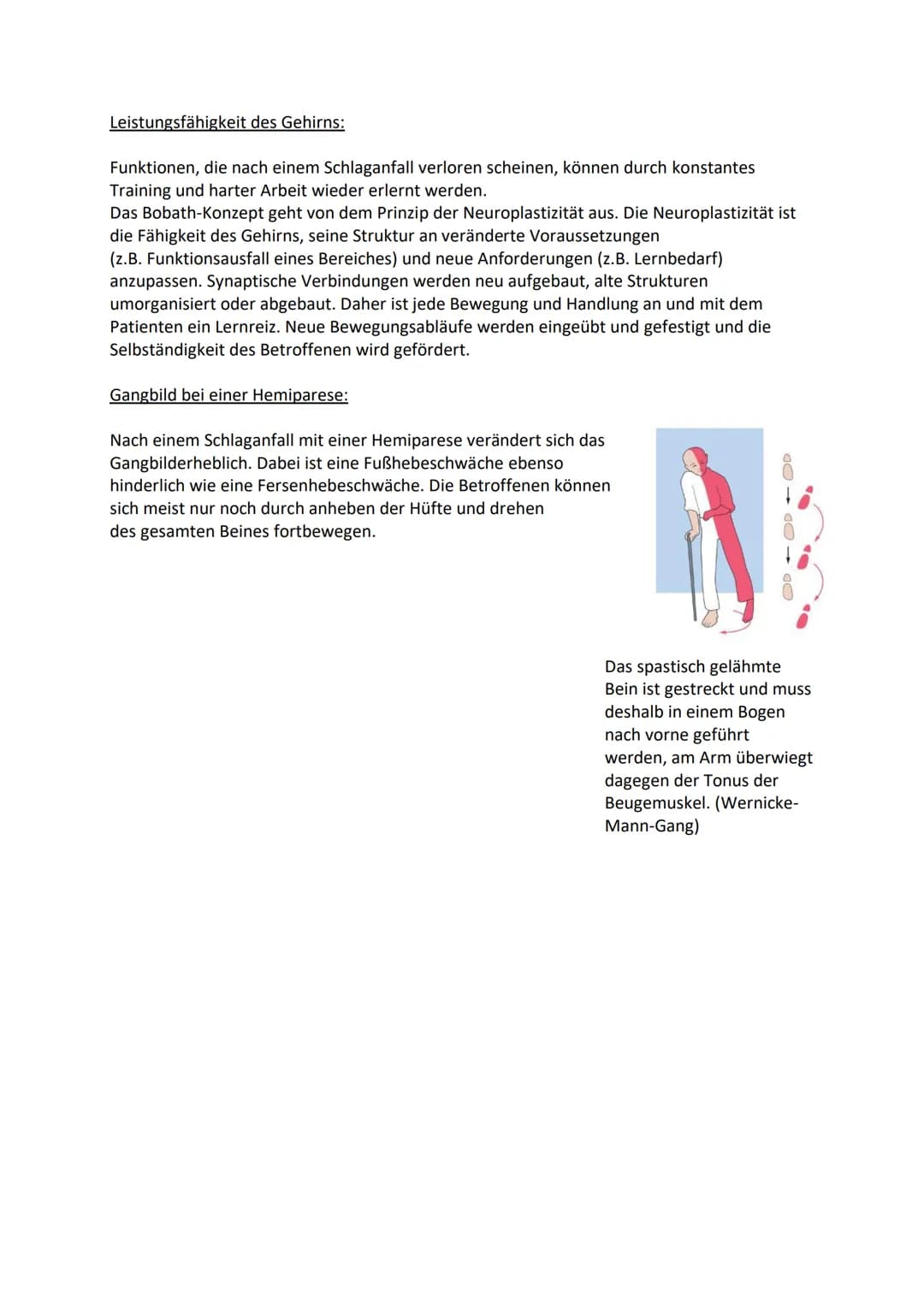 Apoplex
Definition:
Ein Apoplex wird umgangssprachlich als Schlaganfall, Hirninfarkt oder Hirnschlag bezeichnet
und beschreibt eine plötzlic