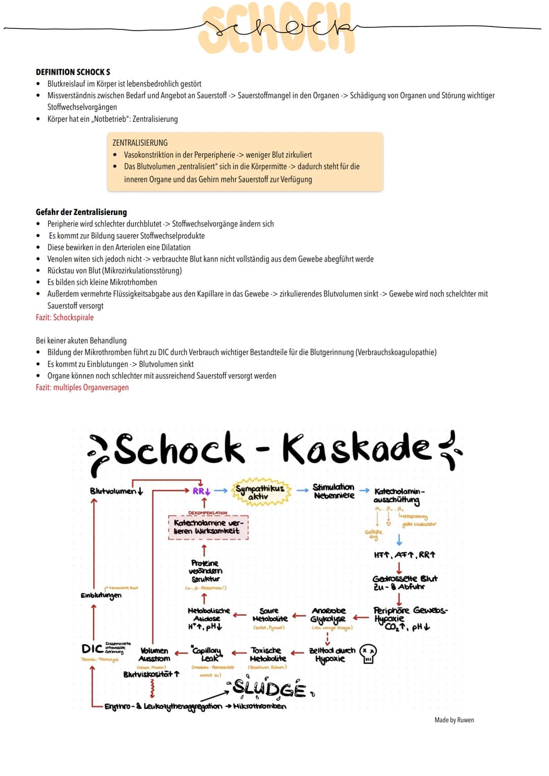 ●
DEFINITION SCHOCK S
• Blutkreislauf im Körper ist lebensbedrohlich gestört
●
Missverständnis zwischen Bedarf und Angebot an Sauerstoff -> 