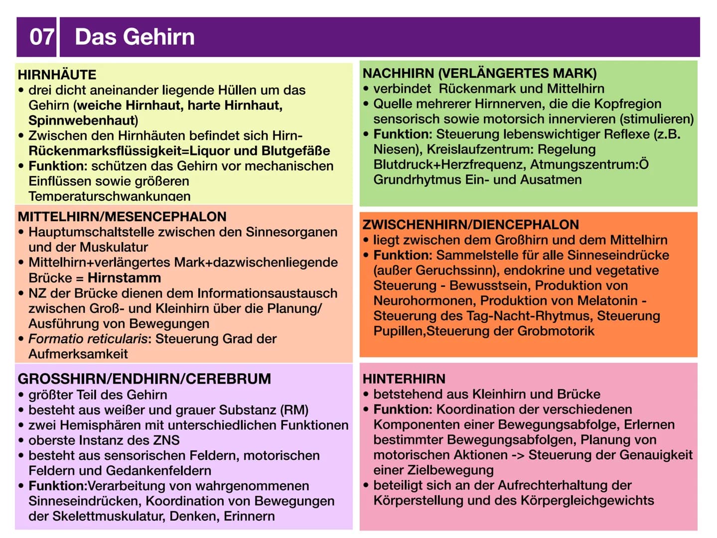 Biologie J2 Basisfach
Das Nervensystem
ARTEN AUFBAU- FUNKTION 01 Was ist das Nervensystem?
DEFINITION
Das Nervensystem ist der Teil des mens