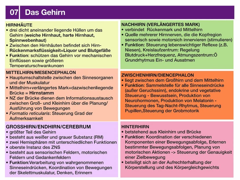 Biologie J2 Basisfach
Das Nervensystem
ARTEN AUFBAU- FUNKTION 01 Was ist das Nervensystem?
DEFINITION
Das Nervensystem ist der Teil des mens