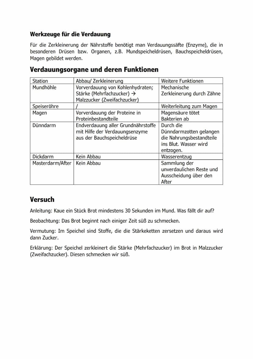 Der Weg der Nahrung durch unseren Körper
L23ASENG HEE
1
4
5
6
7
8
9
10
11
12
13
14
15
16
Organ
Speicheldrüse
Mundhöhle
Zunge
Zähne
Speiseröh