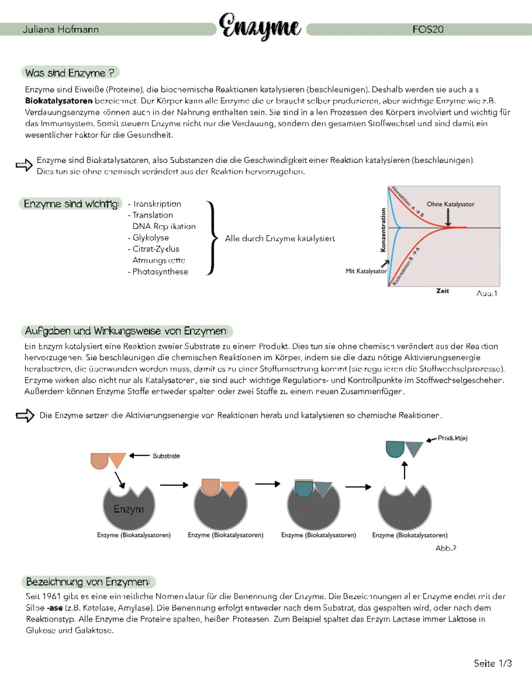 Enzyme