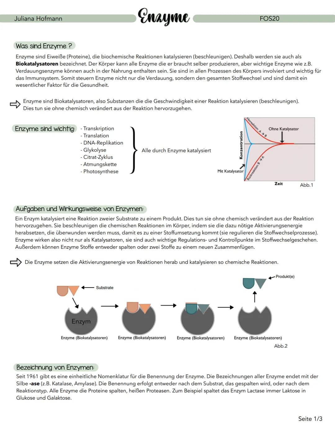 Enzyme
Was sind Enzyme ?
Enzyme sind Eiweiße (Proteine), die biochemische Reaktionen katalysieren (beschleunigen). Deshalb werden sie auch a
