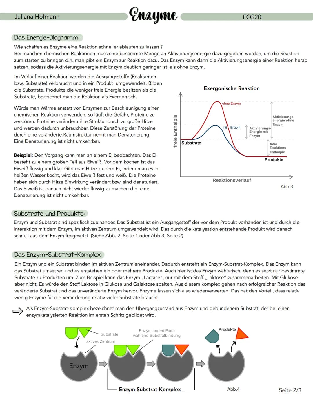 Enzyme
Was sind Enzyme ?
Enzyme sind Eiweiße (Proteine), die biochemische Reaktionen katalysieren (beschleunigen). Deshalb werden sie auch a