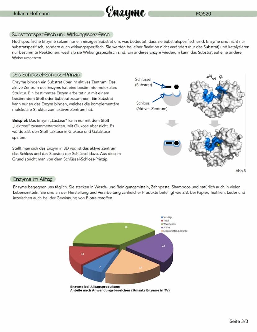 Enzyme
Was sind Enzyme ?
Enzyme sind Eiweiße (Proteine), die biochemische Reaktionen katalysieren (beschleunigen). Deshalb werden sie auch a