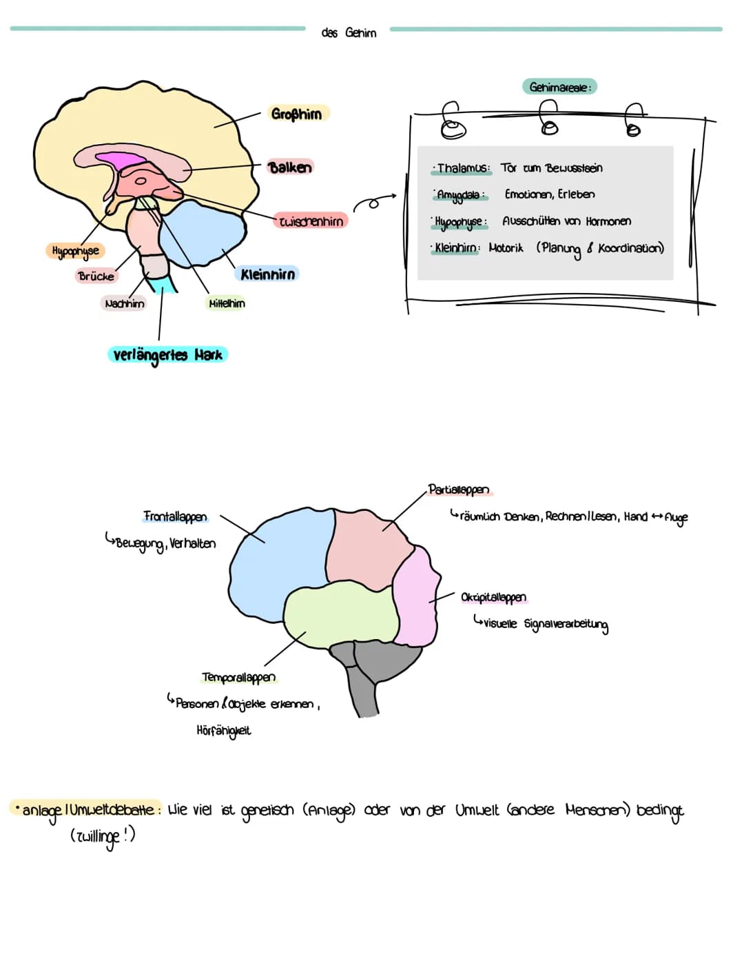PSYCHO
+
Gütekriterien
Psychotherapie
BA MA in Psychologie
Therapeutenausbildung
Objektivität: mehrere Forscher (Gleiche Bedingungen) führen