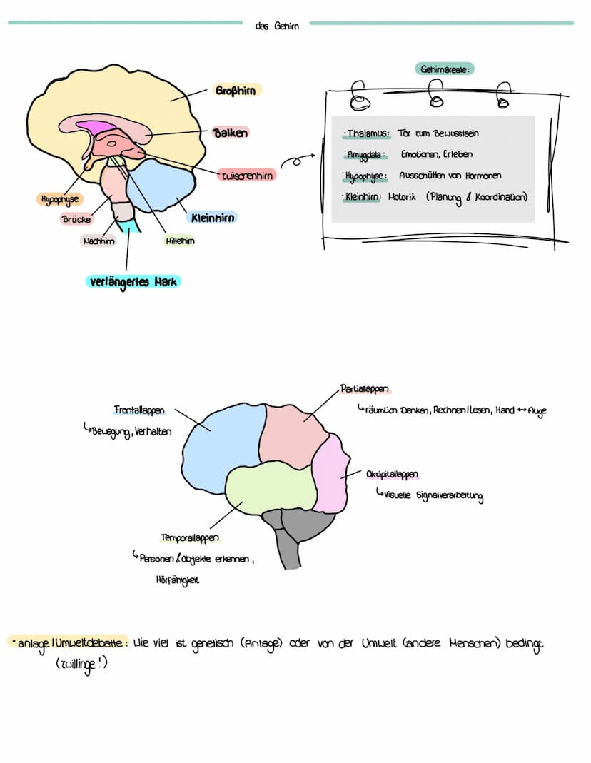 PSYCHO
+
Gütekriterien
Psychotherapie
BA MA in Psychologie
Therapeutenausbildung
Objektivität: mehrere Forscher (Gleiche Bedingungen) führen