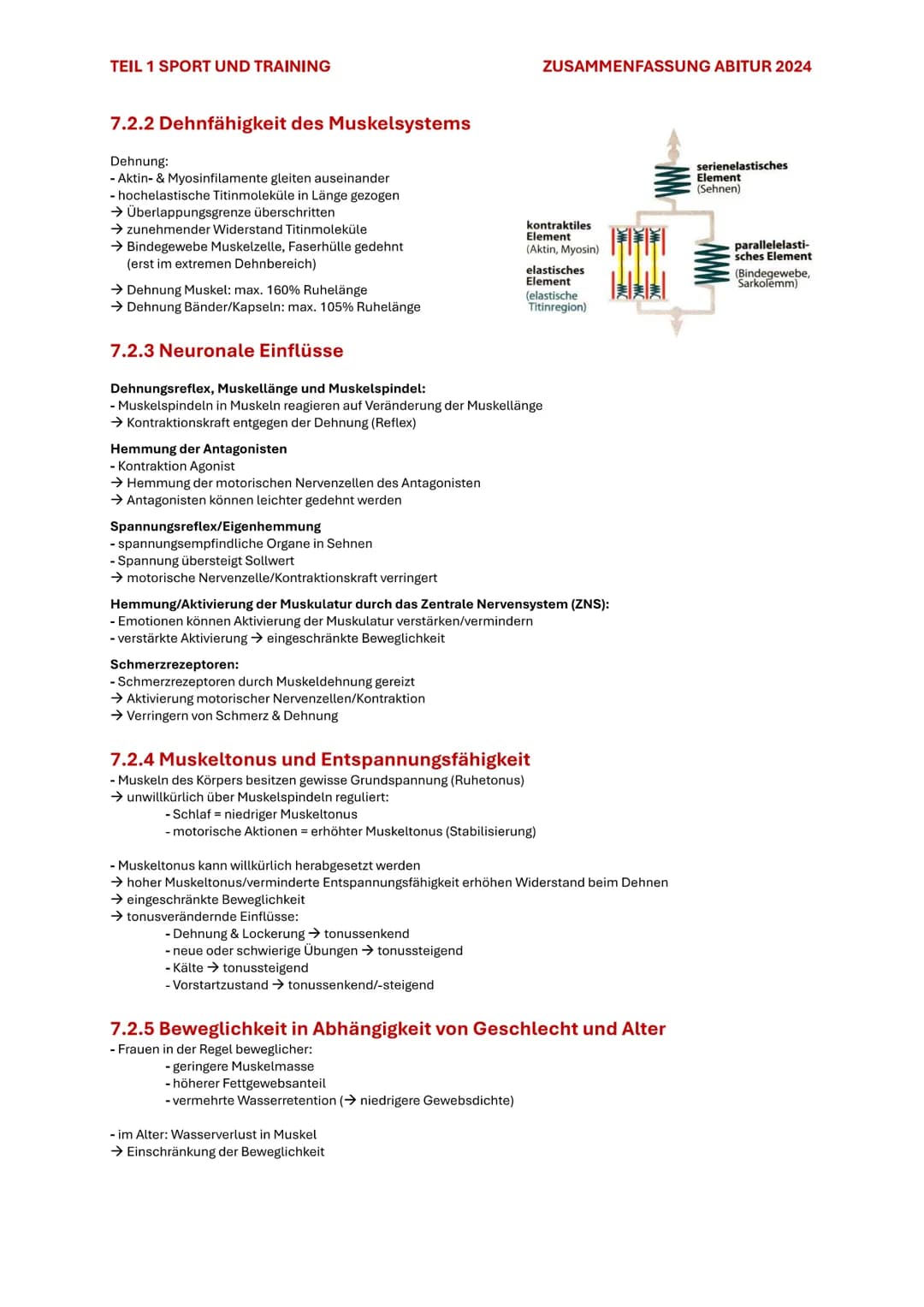 TEIL 1 SPORT UND TRAINING
ZUSAMMENFASSUNG ABITUR 2024
7. BEWEGLICHKEIT
7.1 BEDEUTUNG DER BEWEGLICHKEIT
Beweglichkeit ist die Fähigkeit, Bewe