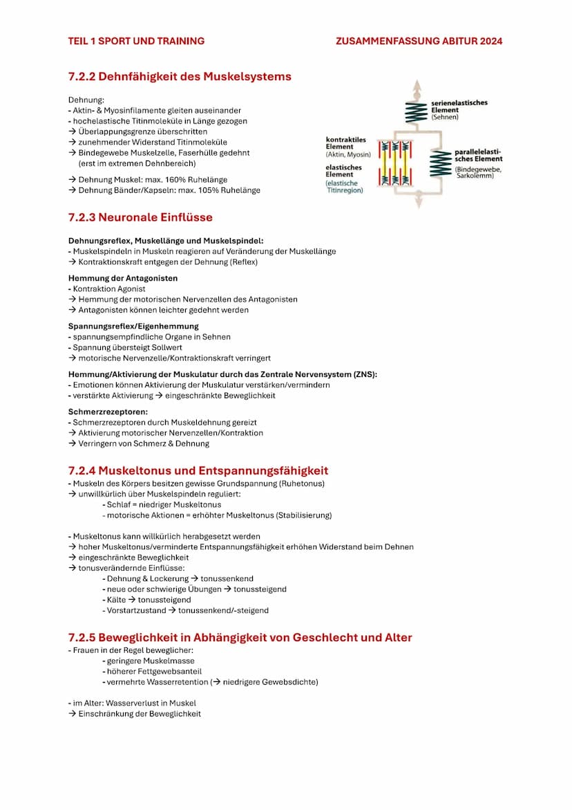 TEIL 1 SPORT UND TRAINING
ZUSAMMENFASSUNG ABITUR 2024
7. BEWEGLICHKEIT
7.1 BEDEUTUNG DER BEWEGLICHKEIT
Beweglichkeit ist die Fähigkeit, Bewe