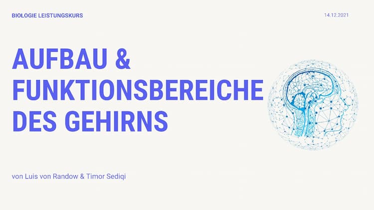 Know Aufbau & Funktionsbereiche des Gehirns  thumbnail