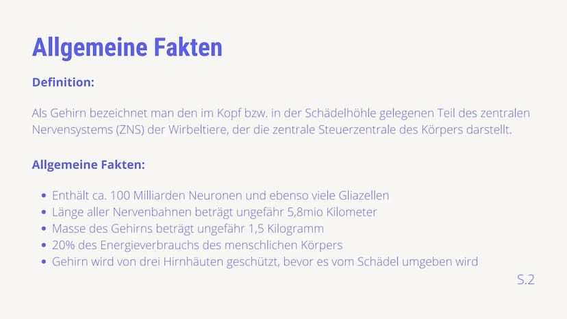 BIOLOGIE LEISTUNGSKURS
AUFBAU &
FUNKTIONSBEREICHE
DES GEHIRNS
von Luis von Randow & Timor Sediqi
14.12.2021
38 Gliederung
Timor: Allgemeine 