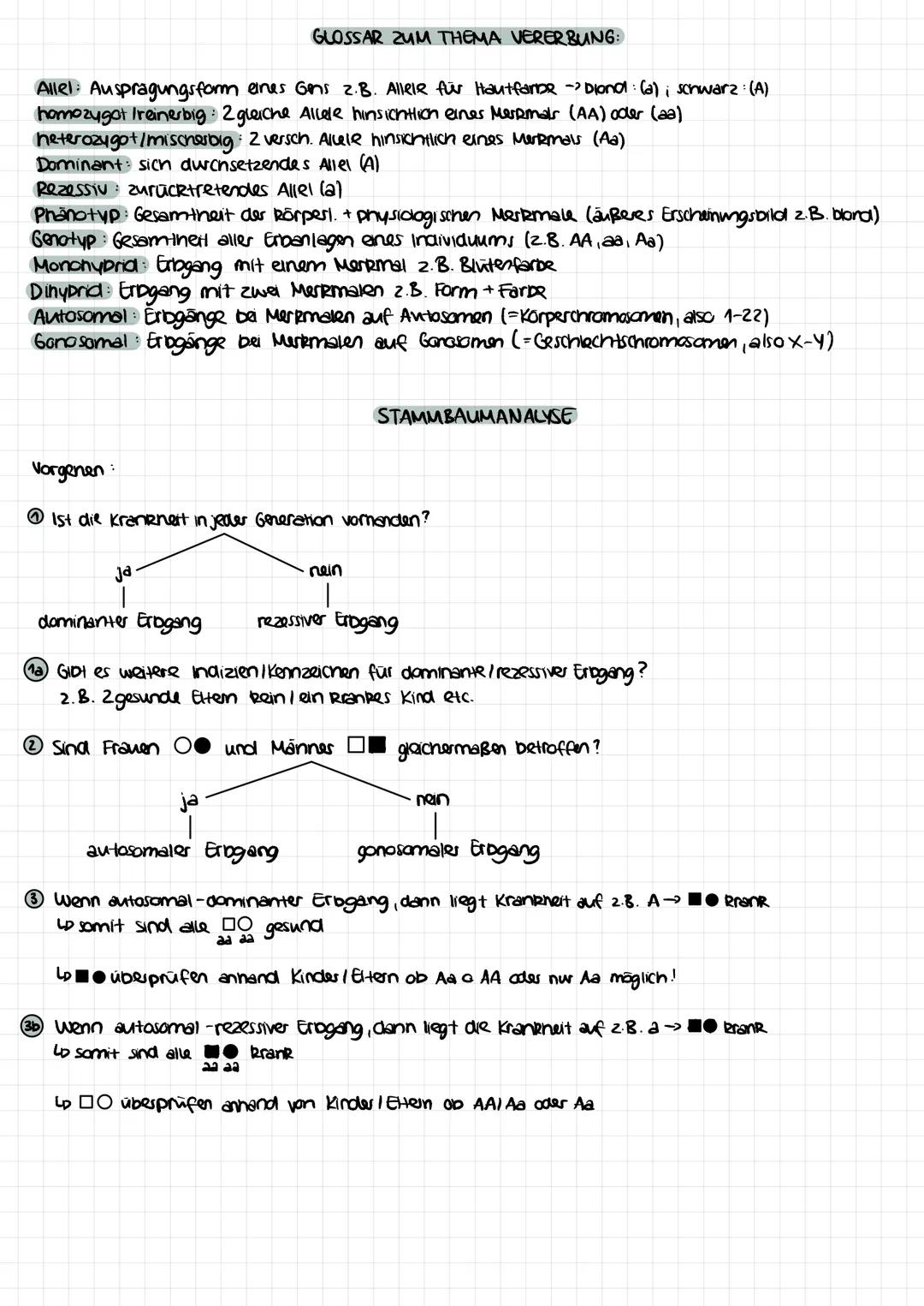 UNIFORMITATSREGEL:
Parental- / Eltem generation
MENDELSCHE GESETZE
Phänotyp: rot
Genotyp: AA
Kameten/ Kamzelle:
1. Tochter filial generation
