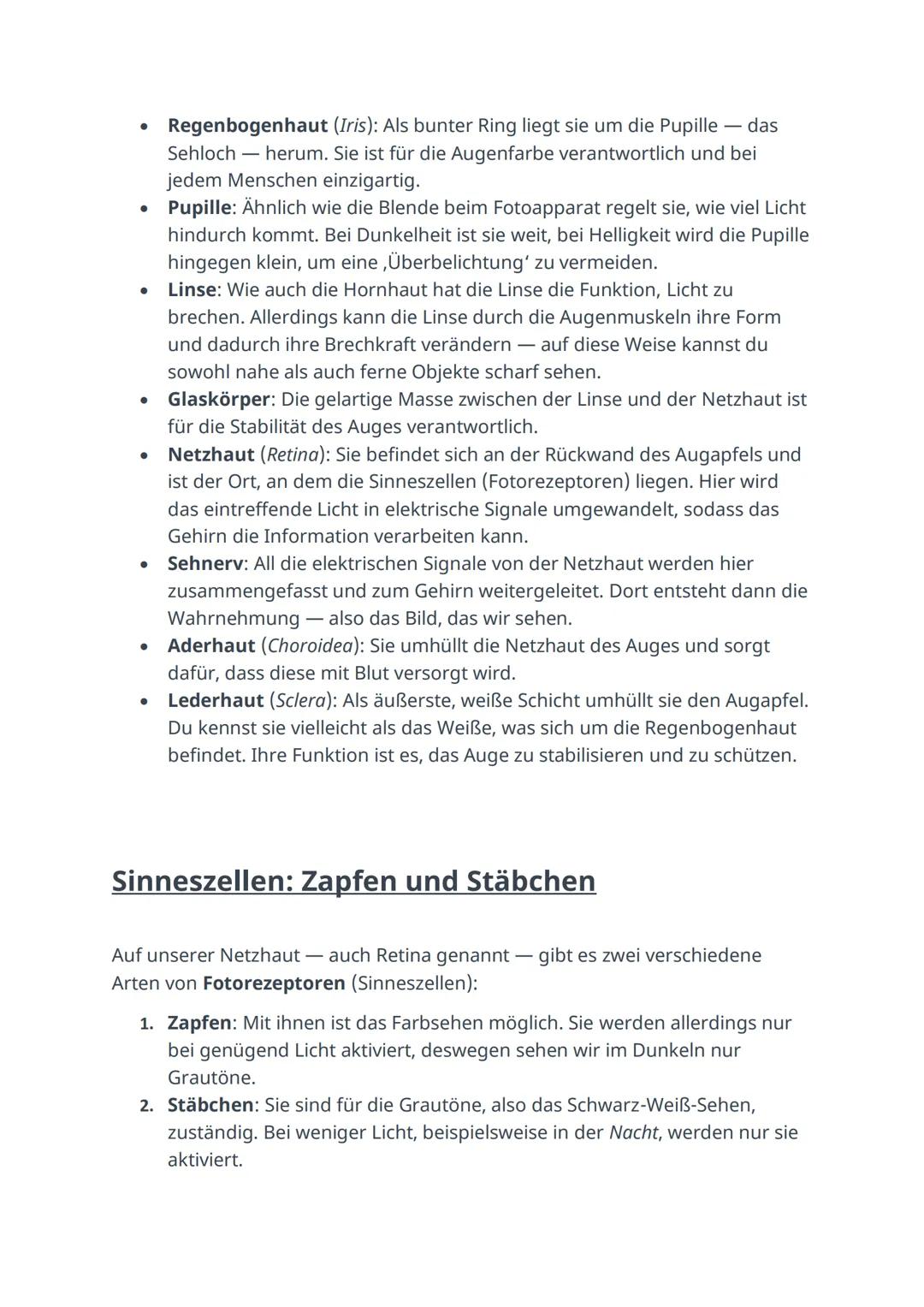 Das Auge einfach erklärt
Das Sehen ist im Alltag sehr hilfreich und spielt besonders bei der Orientierung
eine große Rolle. Um sehen zu könn