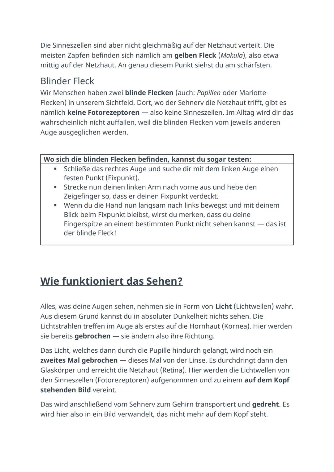 Das Auge einfach erklärt
Das Sehen ist im Alltag sehr hilfreich und spielt besonders bei der Orientierung
eine große Rolle. Um sehen zu könn