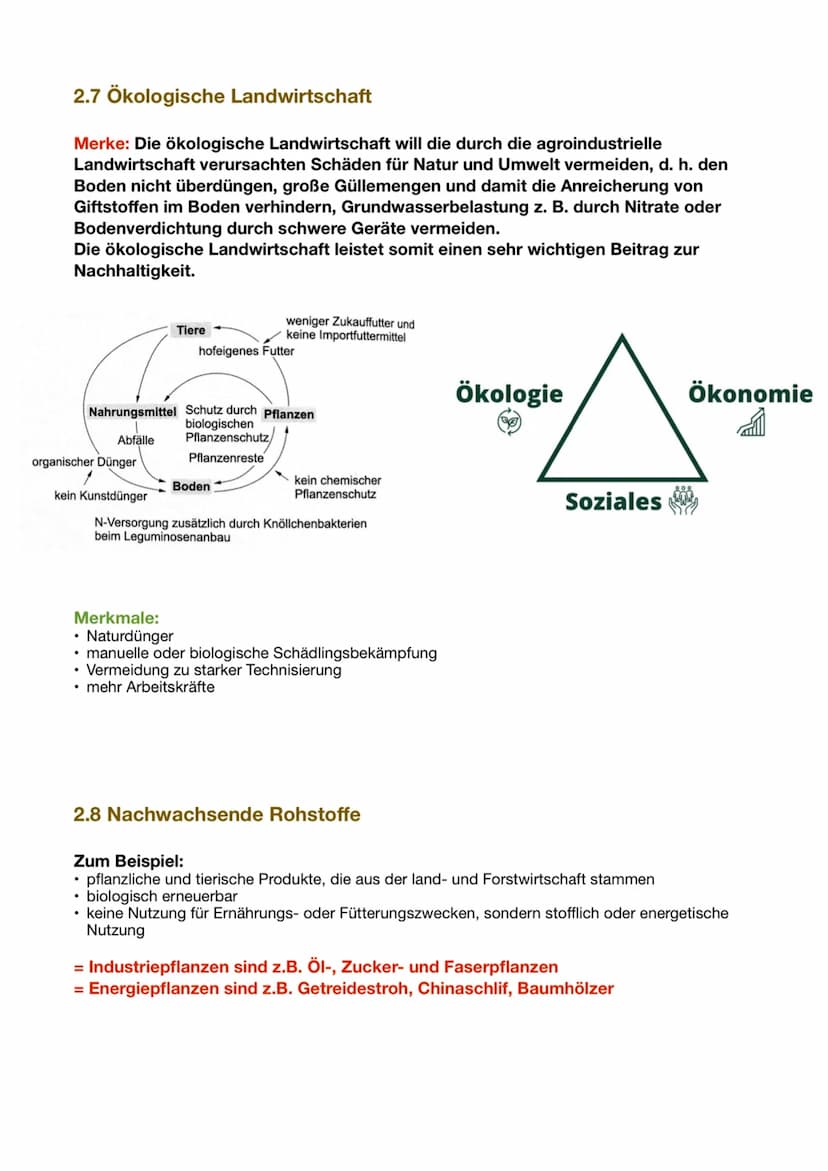 2. Landwirtschaft und Ökologie
2.1 Strukturwandel in der Landwirtschaft
1. Revolution (vor ca. 9000 Jahren): Sesshaftwerden, Übergang zu Ack