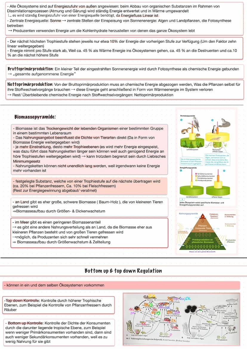 دار رنگی
ره
... Q2.1 Strukturierung von Ökosystemen an einem Beispiel
Bei der Erarbeitung der im Folgenden genannten Stichpunkte sollen sich