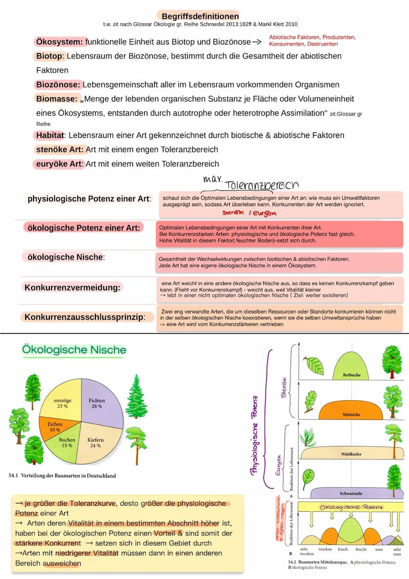 دار رنگی
ره
... Q2.1 Strukturierung von Ökosystemen an einem Beispiel
Bei der Erarbeitung der im Folgenden genannten Stichpunkte sollen sich