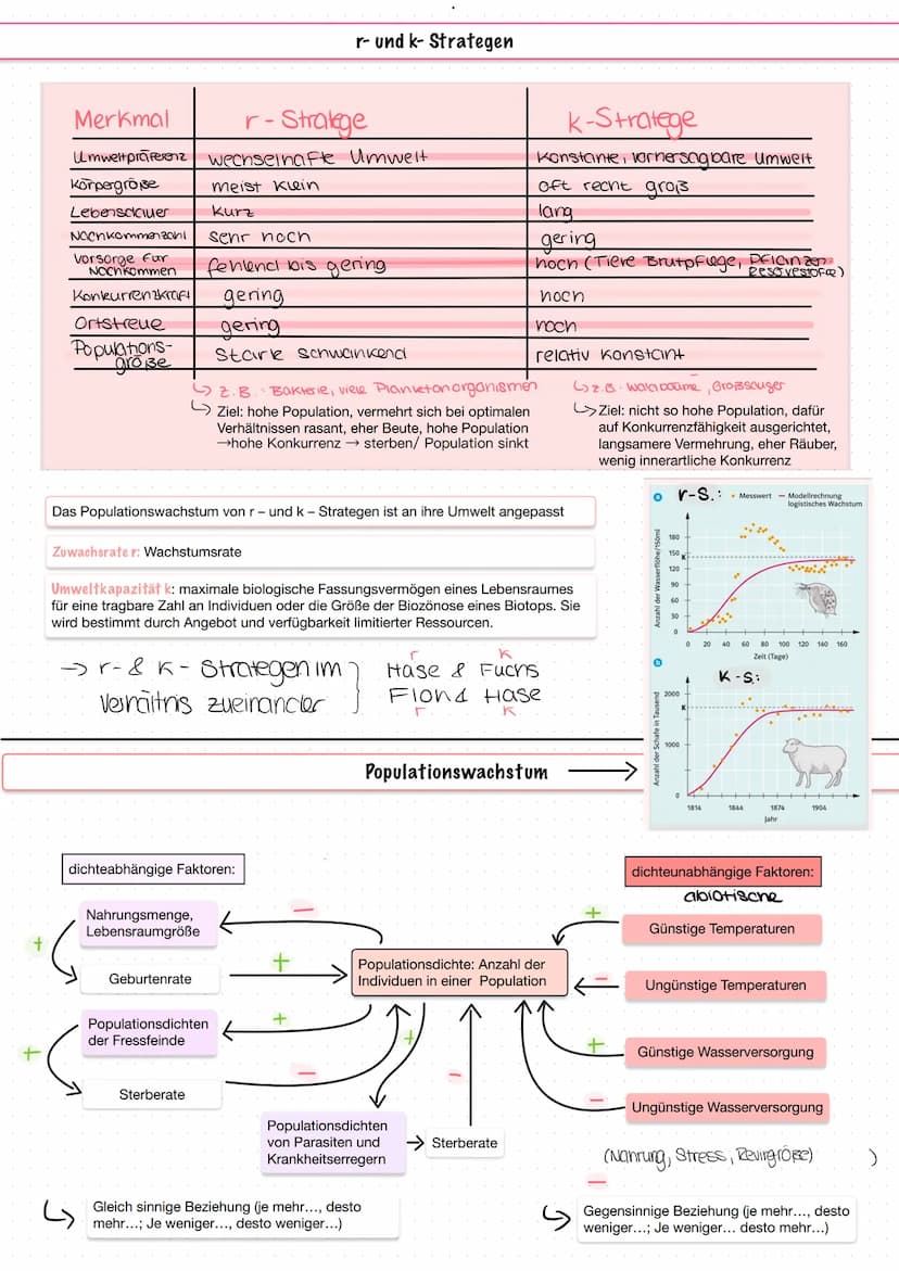 دار رنگی
ره
... Q2.1 Strukturierung von Ökosystemen an einem Beispiel
Bei der Erarbeitung der im Folgenden genannten Stichpunkte sollen sich