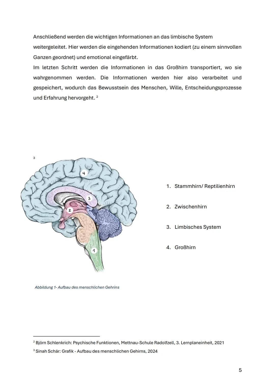 Seminararbeit 2023/2024 - Amazing Future -
Zeitwende gestalten
Mental Health im
digitalen Zeitalter
Wie werden zukünftig mentale Krankheiten