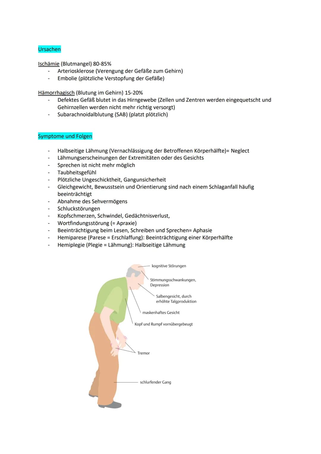 Examensthema: Schlaganfall
Gliederung
Definition
Epidemiologie
Risikofaktoren
Ursachen
Symptome und Folgen
Diagnostik
Therapie
Prävention
Ge
