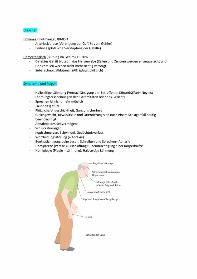 Examensthema: Schlaganfall
Gliederung
Definition
Epidemiologie
Risikofaktoren
Ursachen
Symptome und Folgen
Diagnostik
Therapie
Prävention
Ge