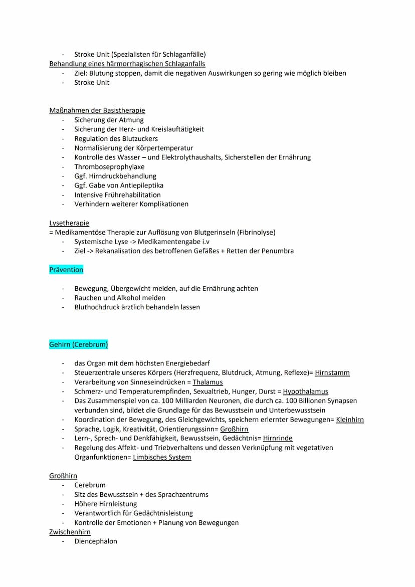 Examensthema: Schlaganfall
Gliederung
Definition
Epidemiologie
Risikofaktoren
Ursachen
Symptome und Folgen
Diagnostik
Therapie
Prävention
Ge