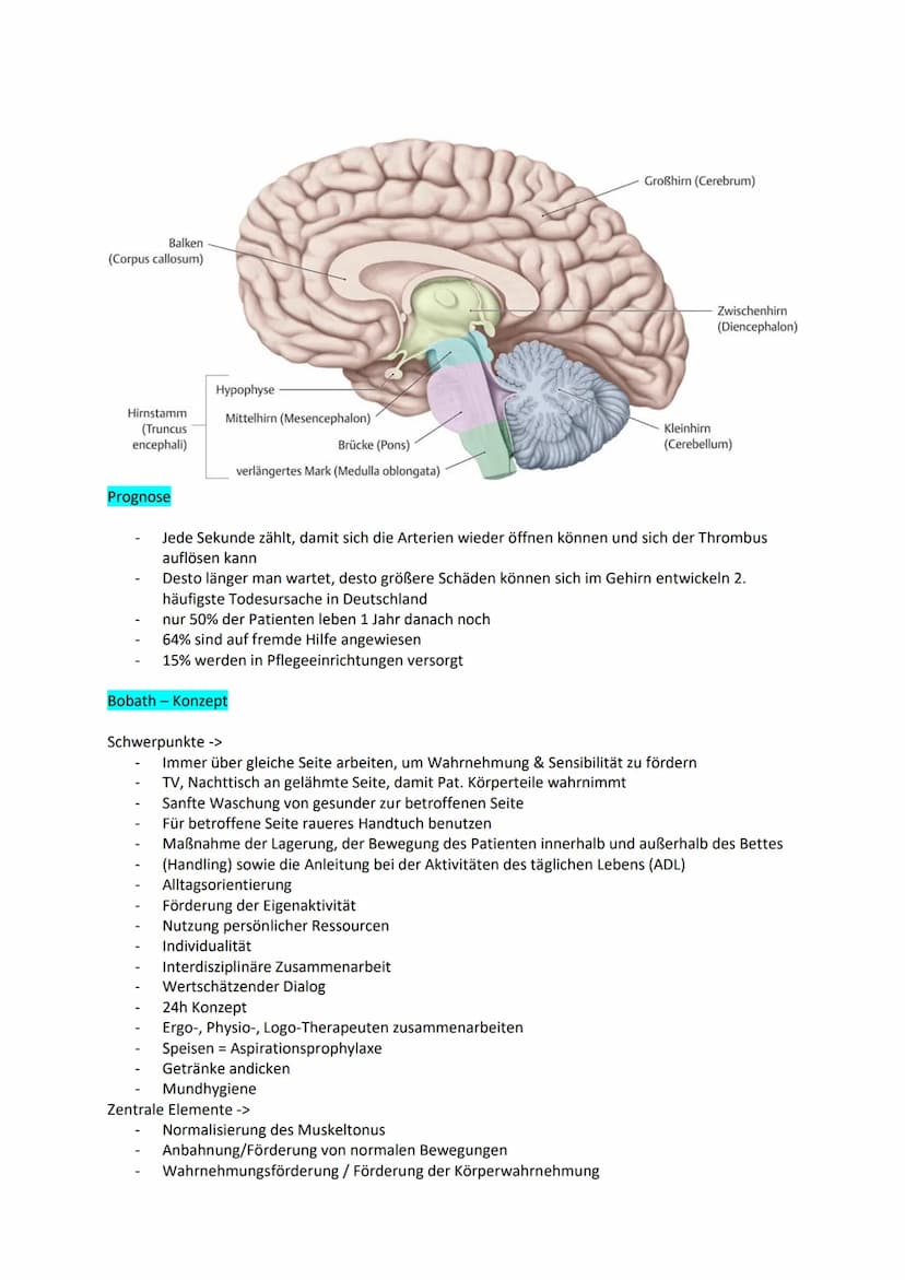 Examensthema: Schlaganfall
Gliederung
Definition
Epidemiologie
Risikofaktoren
Ursachen
Symptome und Folgen
Diagnostik
Therapie
Prävention
Ge