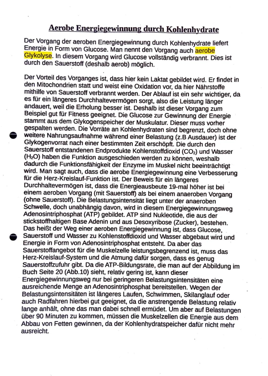 Aerobe und anaerobe Energiegewinnung einfach erklärt für Kinder