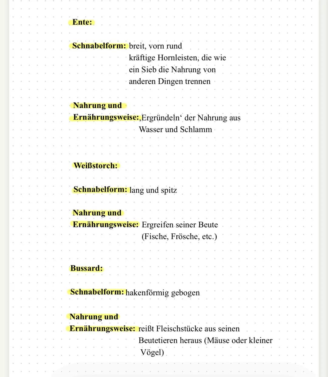 Flugform
Energieaufwand
Flügelstellung
Geschwindigkeit
Gleitflug Rüttelflug
gering sehr hoch
weit
schnelles
ausgebreitet Schlagen
sinkt
Voge