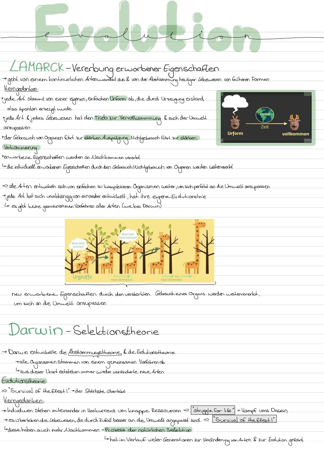 Evolution
LAMARCK-Vererbung erworbener Eigenschaften
von einem kontinuidlichen Artenwardel aus & von der
4
+ geht.
Kerngedanken
ojede Art st