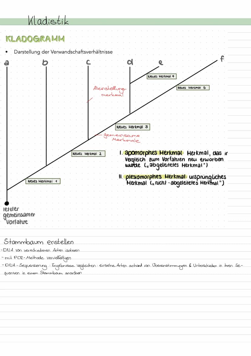Evolution
LAMARCK-Vererbung erworbener Eigenschaften
von einem kontinuidlichen Artenwardel aus & von der
4
+ geht.
Kerngedanken
ojede Art st