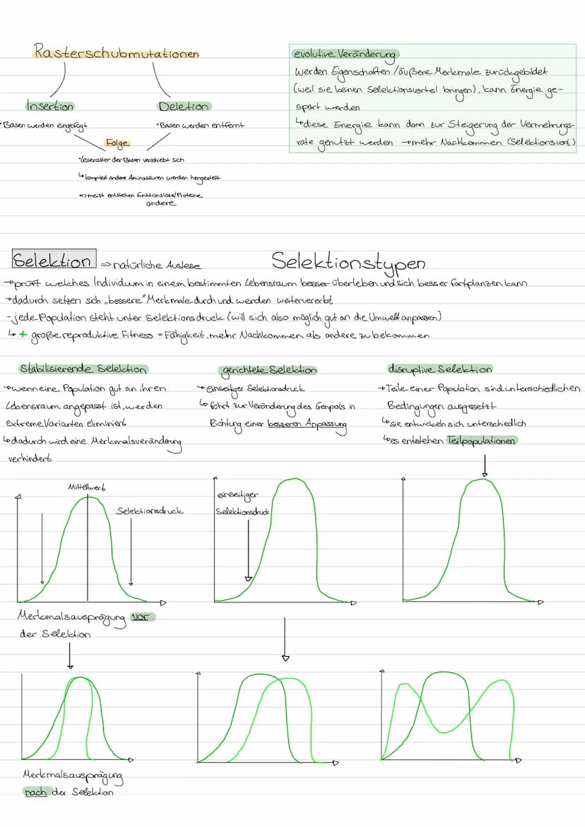 Evolution
LAMARCK-Vererbung erworbener Eigenschaften
von einem kontinuidlichen Artenwardel aus & von der
4
+ geht.
Kerngedanken
ojede Art st
