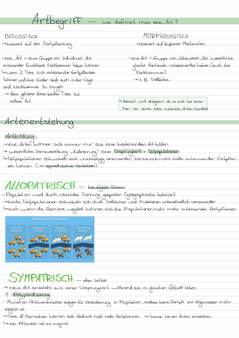 Evolution
LAMARCK-Vererbung erworbener Eigenschaften
von einem kontinuidlichen Artenwardel aus & von der
4
+ geht.
Kerngedanken
ojede Art st