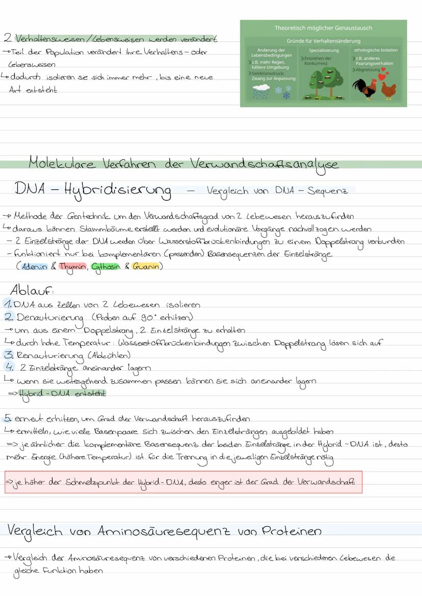 Evolution
LAMARCK-Vererbung erworbener Eigenschaften
von einem kontinuidlichen Artenwardel aus & von der
4
+ geht.
Kerngedanken
ojede Art st
