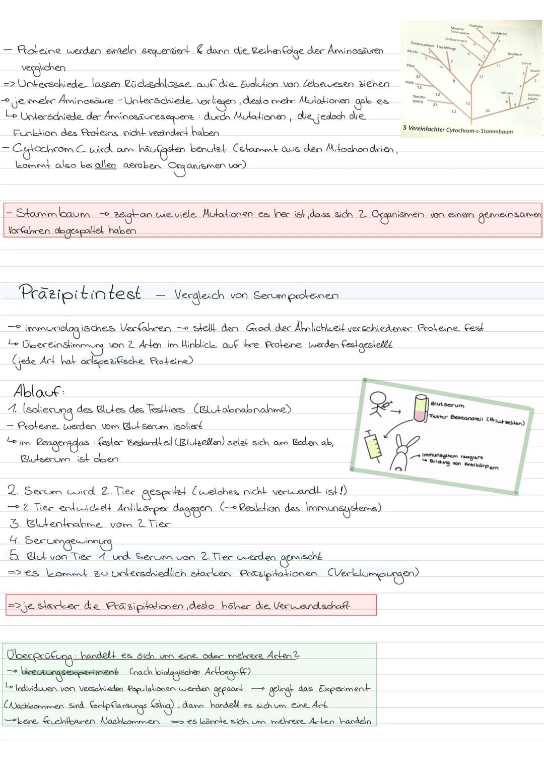 Evolution
LAMARCK-Vererbung erworbener Eigenschaften
von einem kontinuidlichen Artenwardel aus & von der
4
+ geht.
Kerngedanken
ojede Art st