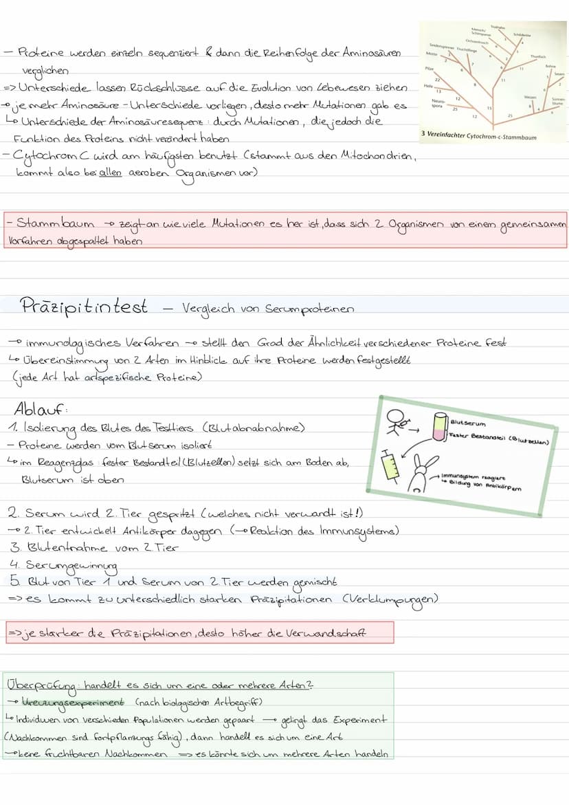 Evolution
LAMARCK-Vererbung erworbener Eigenschaften
von einem kontinuidlichen Artenwardel aus & von der
4
+ geht.
Kerngedanken
ojede Art st