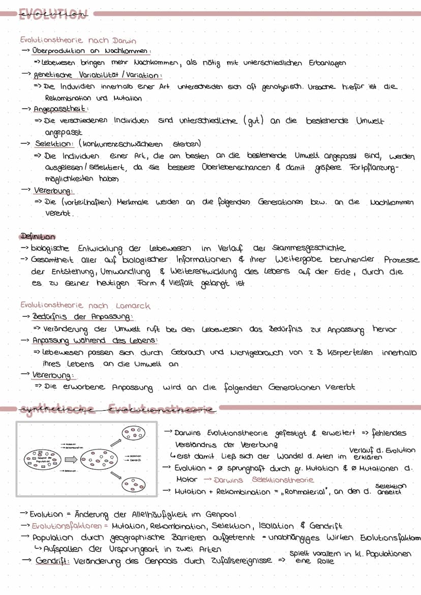 PROVARYOT VS EUKARYOT
Membran umgrenzt Organellen
Erbsubstanz
genetischer Austausch
→
Masse an Ribasomen
Cytoskelett
genetische Information
