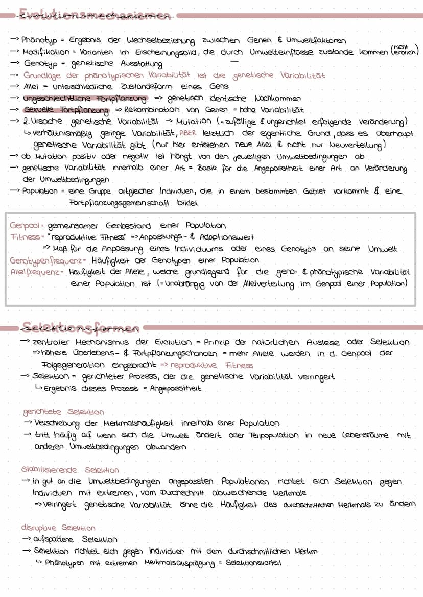 PROVARYOT VS EUKARYOT
Membran umgrenzt Organellen
Erbsubstanz
genetischer Austausch
→
Masse an Ribasomen
Cytoskelett
genetische Information
