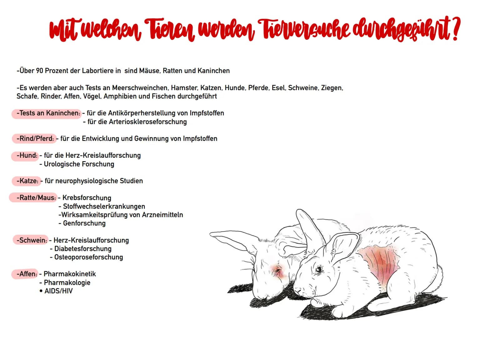 Tierversuche
Referat von Lilly Ly Ann Eckstein
الباملا
ال... الا ..لا
IDH
+
>
VACCINE-A Ting Gliederung
-Definition
-Wofür werden Tierversuc