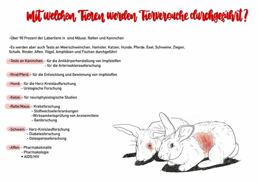 Tierversuche
Referat von Lilly Ly Ann Eckstein
الباملا
ال... الا ..لا
IDH
+
>
VACCINE-A Ting Gliederung
-Definition
-Wofür werden Tierversuc